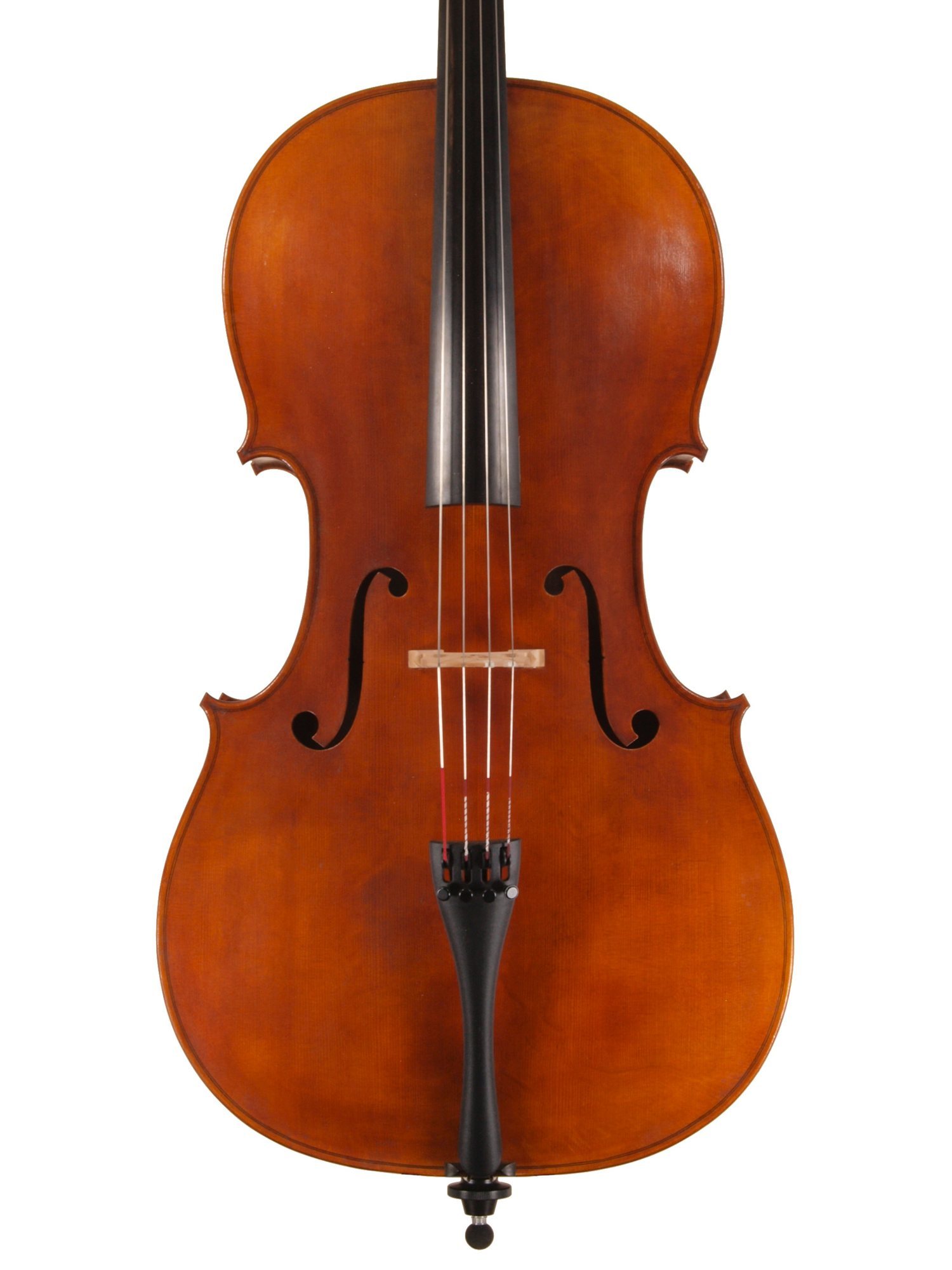 Cello by Steffen Nowak after Stradivari ‘Davidov’, Bristol 2019 — photo 1 of 3